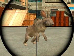 Rabbit Shooter